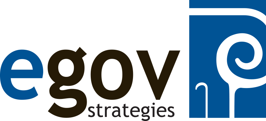 eGov Strategies